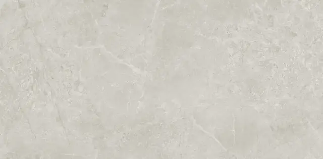 Borneo Grey Matt Carving 60x120