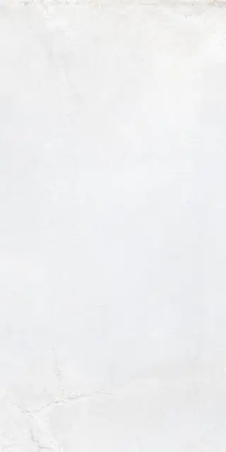 LEGAME WHITE RET 60X120