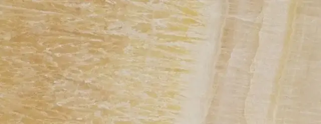 Керамогранит Gardenia (Versace) Marble Oro Lap 240032 58.5×19.5 см