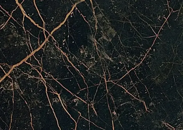 Керамогранит Gardenia (Versace) Marble Nero Lap 240033 58.5×19.5 см