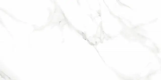 Керамогранит P.E. PUL. Purity white rect. 60X120 