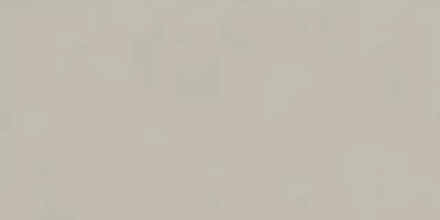 Forum Slim Silver 60x120