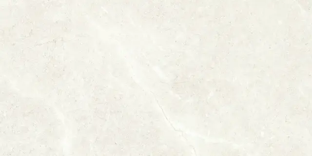 PALERMO BONE 60X120 REC.