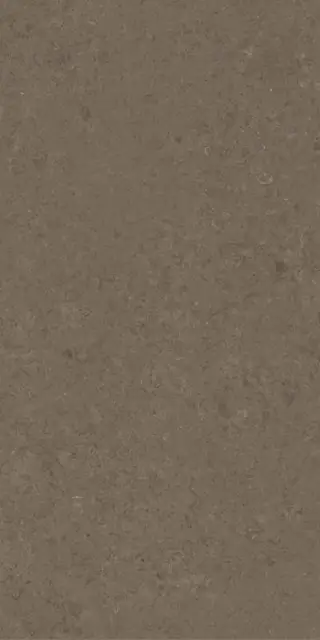 VSTONE BROWN LAP R 60X120 8,5 мм