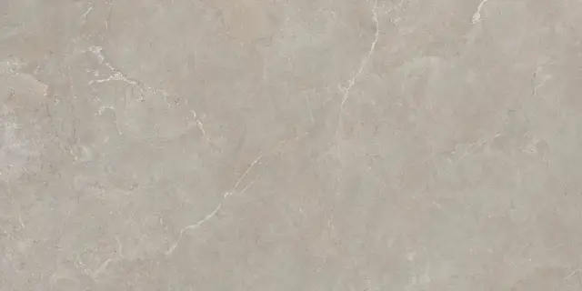 IAD04BA ARCADIA VISONE REAL UP 60X120