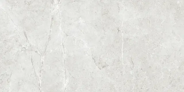 PALERMO GRIS  60X120X9 REC.