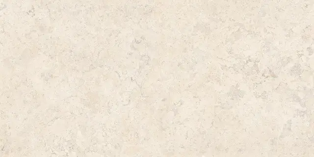 Спастоун Кампосперо Матовый 60x120