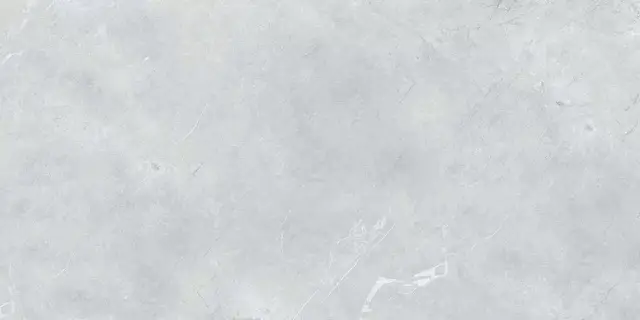IMAGINE BIANCO 60*120*0,86 (КГ) 1,44м(2шт)/46,08м РАЗНОТОН
