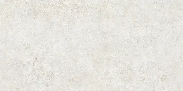 Керамогранит TZ612NTT9501L Terrazzo 60x120