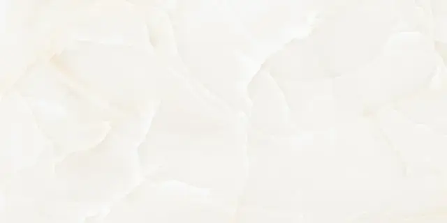 Керамогранит NTT99504P Onyx Predo 60x120