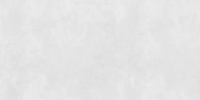 Керамогранит NTT99610С Concept White Carving 60x120