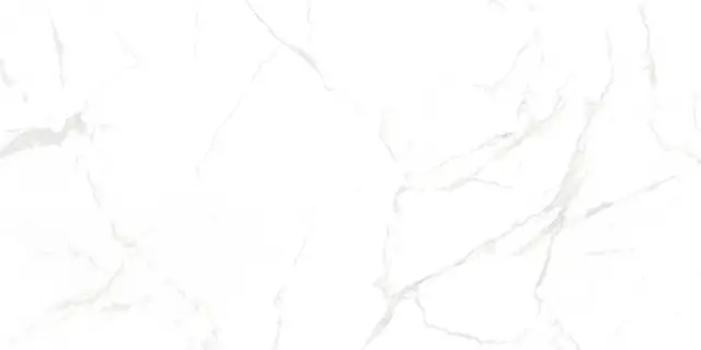 Керамогранит NTT99607M Callacata carving 60x120