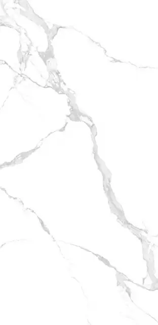 Керамогранит NTT3004P Bianco Carrara 120x240