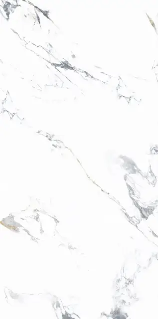 Керамогранит NTT3003P Arabescato 120x240