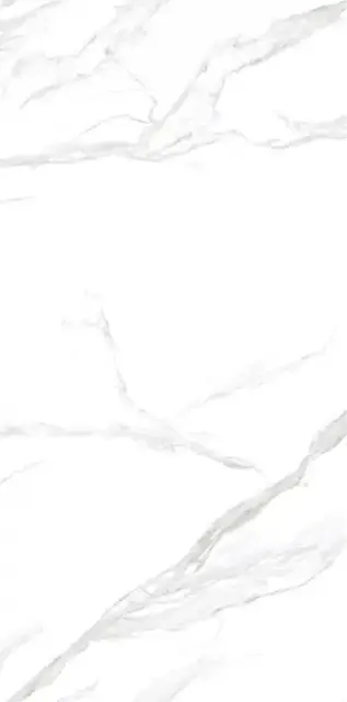 Керамогранит NTT3009M Statuario Mat 120x240