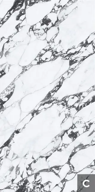 Керамогранит NTT3013P (C) Tantai Jin Demon 120x240