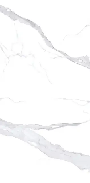 Керамогранит NTT3008P Bianco Statuario 120x240