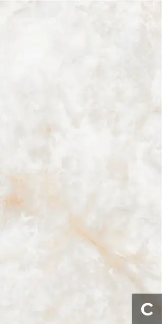 Керамогранит NTT3019P (C) Li Susu Dragon 120x240