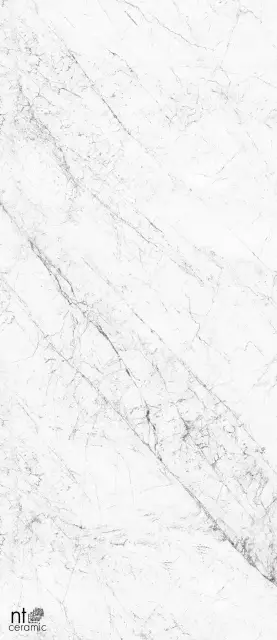 Керамогранит NTT3602C Carrara Elite 120x280