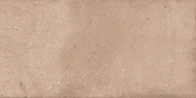 Керамогранит NTTVL99828M Rockstar Delhi Matt 60x120