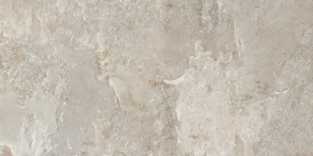 Керамогранит NTTVL99844D Axion Cold Mars Sugar Carving 60x120