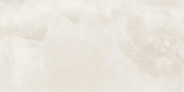 Керамогранит NTT9356DS Onyx History Digital Satin 60x120