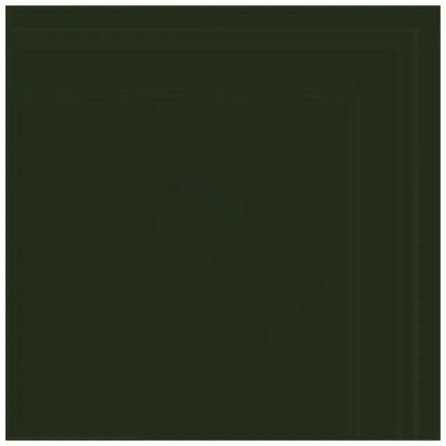 La Diva Alessandra Alessandra 05 Quadrato Menta L 40x40