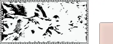 La Diva Carmella Rettangolo Vibrato Cipria L 7.5x15