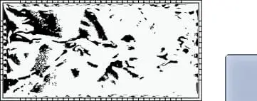 La Diva Carmella Rettangolo Vibrato Lavanda L 7.5x15