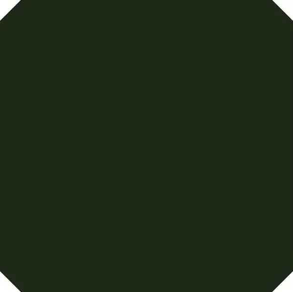 La Diva Maria Ottagono Liscia Menta S 20x20