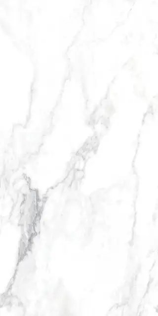 CANOVA ARABESCATO LAP RET 60x120  8,5 мм