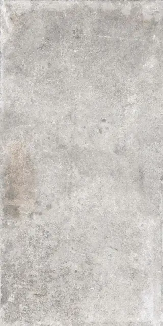 WINDSOR LIGHT GREY RET 60x120  8,5 мм