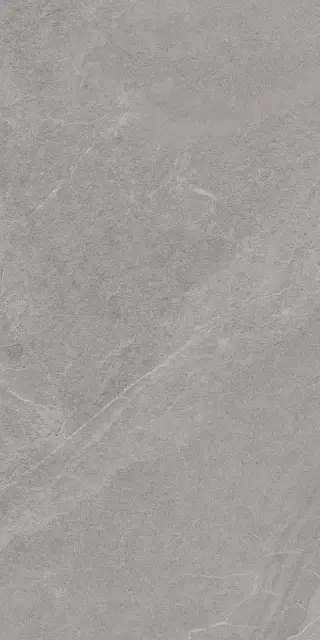 ANGERS AV GREY RET 60x120