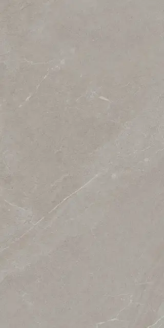 ANGERS AV TAUPE RET 60x120