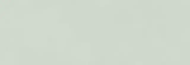 BRIO SALVIA RET 33,3x100 7мм