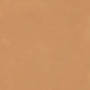 Terra