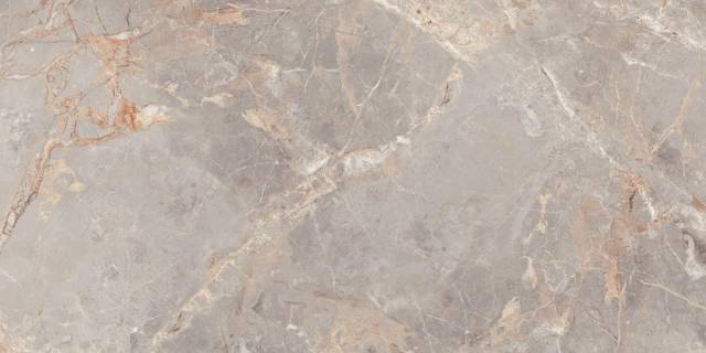 Penlico Abalone 60х120