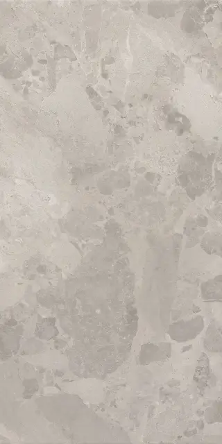 BLOOMSTONE SILT 60X120 RT