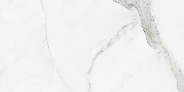 STATUARIO MATE 60X120X9