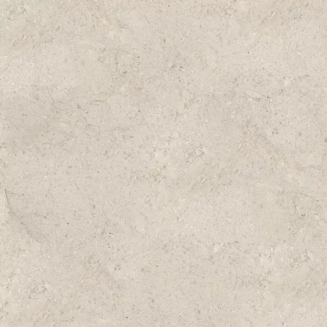 DORCIA BONE L 120X120(A)