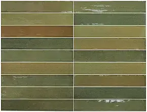 Moss