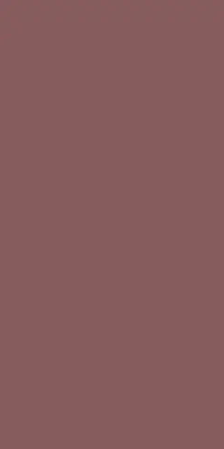 PASTEL X BURGUNDY RET 60x120  7 мм