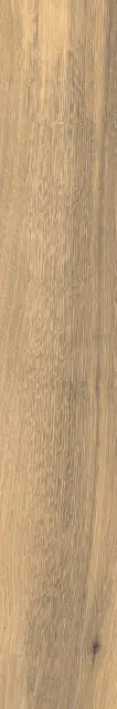 TIMELESS HONEY RET 20x120 8,5 мм