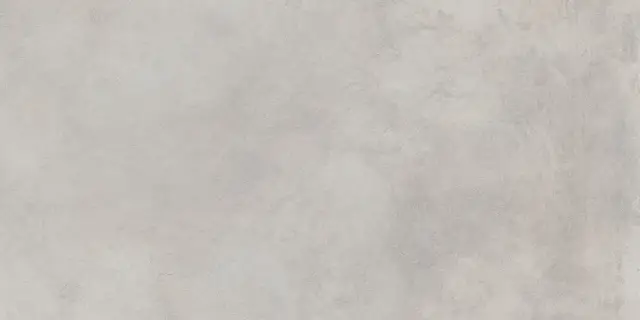 Миллениум Сильвер 60x120