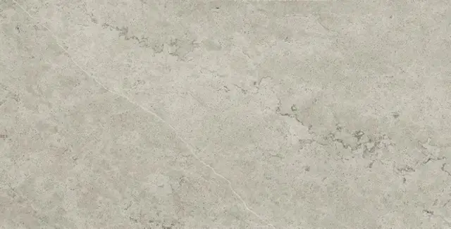 Метрополис Абсолют Сильвер 60x120