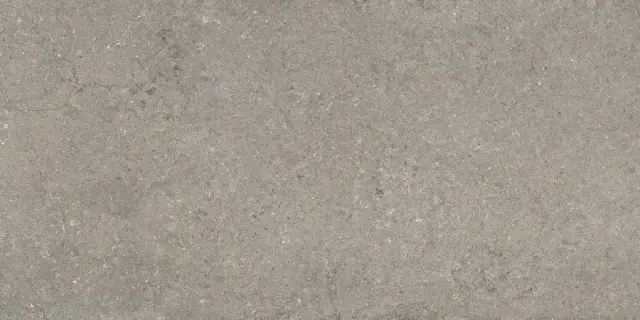 Дискавер Грэй 60x120