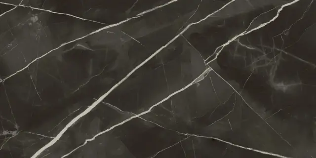 Стеллариус Абс.Блэк 60x120