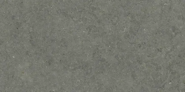 Форум Стоун Айрон 60x120