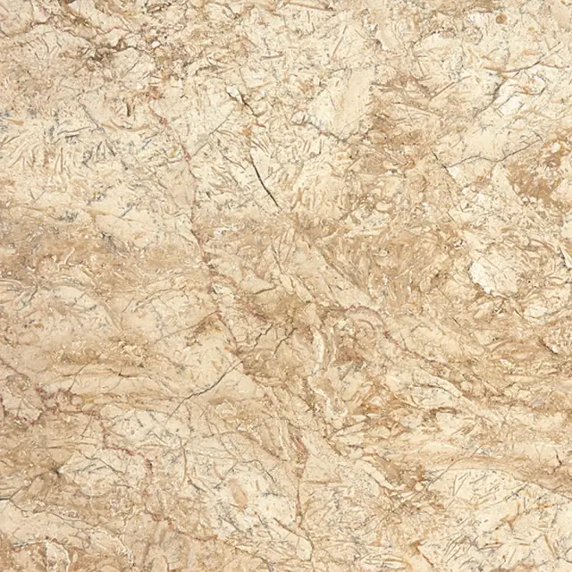 Desert Gold 60x60x1.2