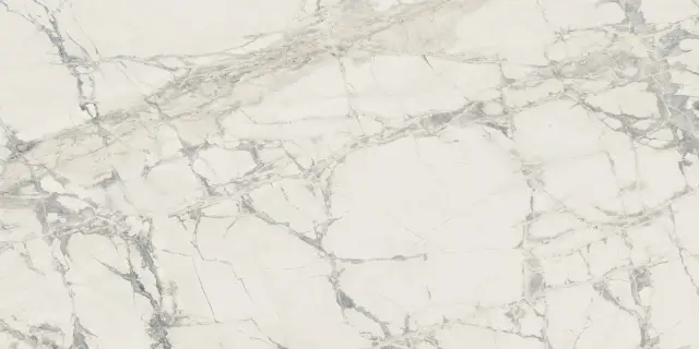 Prexious Rex Mountain Treasure Glossy 60x120
